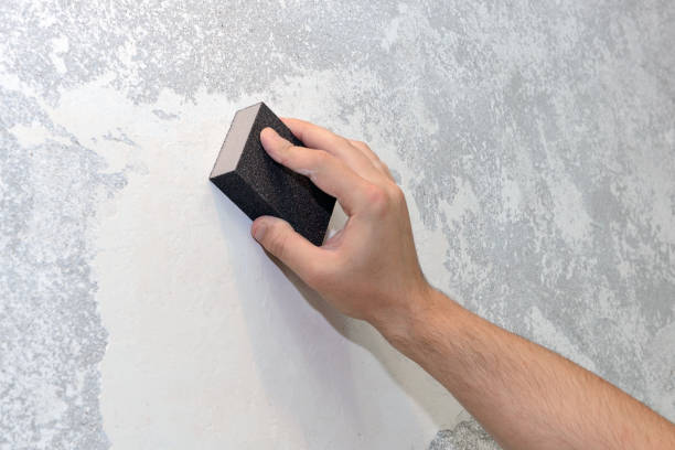 Best Basement Mold Removal  in Lisle, IL
