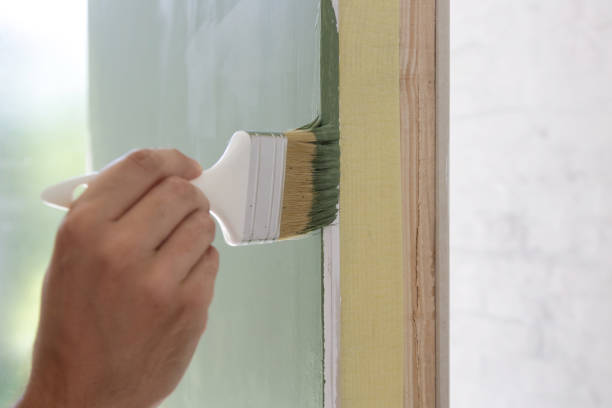 Mold Documentation for Insurance Claims in Lisle, IL