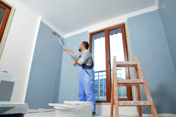 Best Mold Removal for HVAC Installations  in Lisle, IL