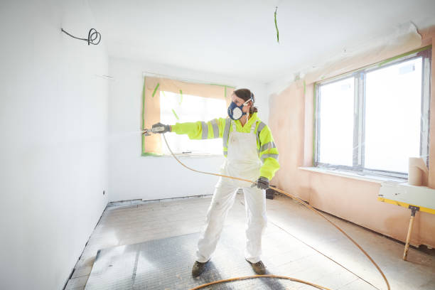 Asbestos and Lead Testing During Mold Inspection in Lisle, IL