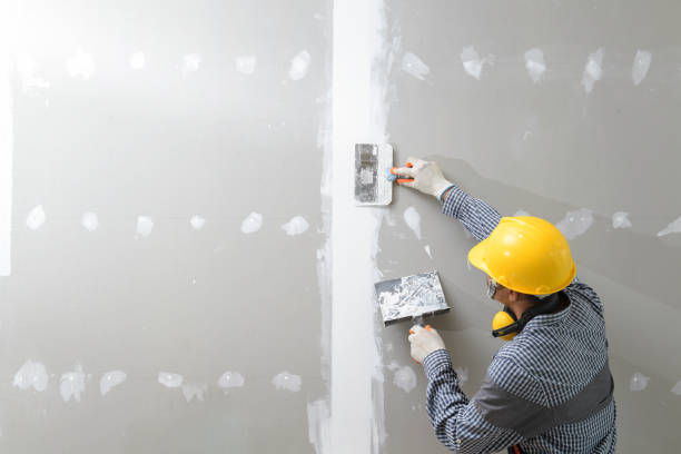Best Asbestos and Lead Testing During Mold Inspection  in Lisle, IL