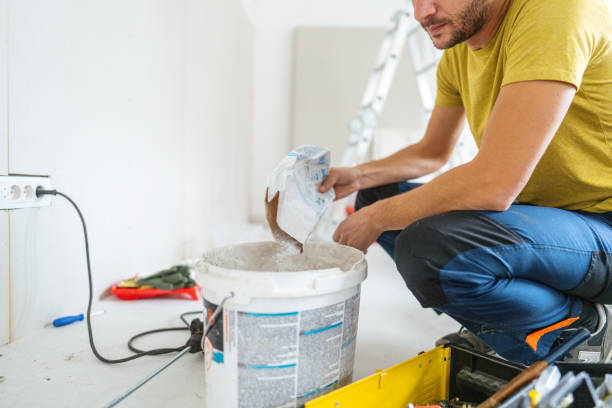 Best Dehumidification Services  in Lisle, IL