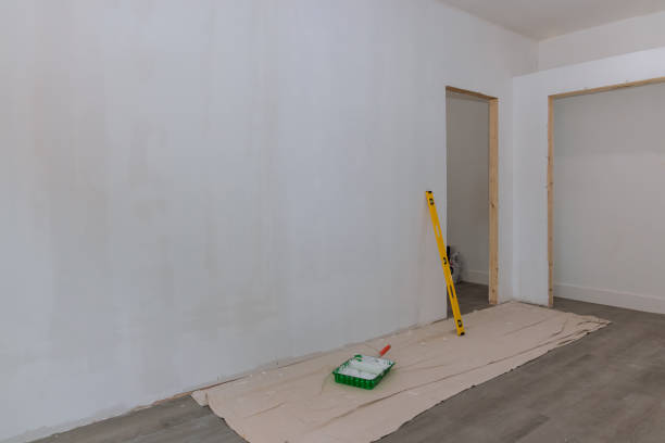 Best Mold Odor Removal Services  in Lisle, IL