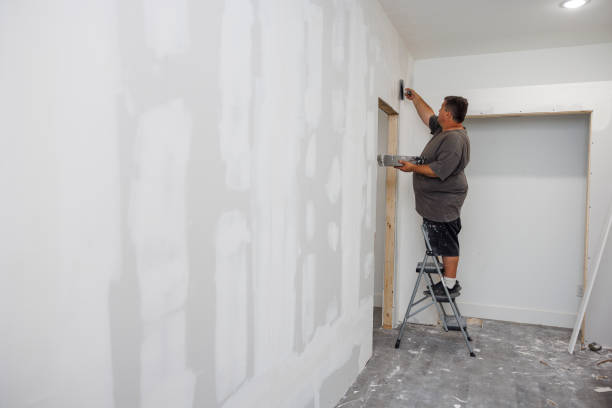 Best Mold Remediation for Healthcare Facilities  in Lisle, IL