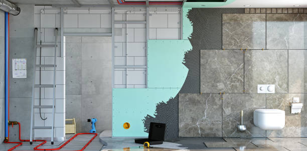 Best Post-Construction Mold Inspection  in Lisle, IL
