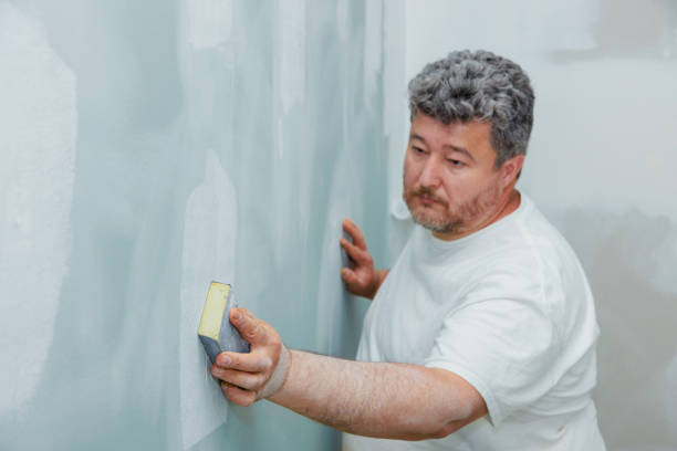 Best Comprehensive Air Testing for Mold Contaminants  in Lisle, IL