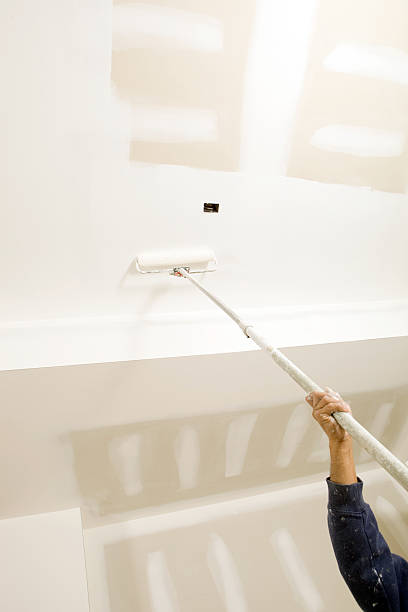 Best Mold Remediation for Vacation Homes  in Lisle, IL