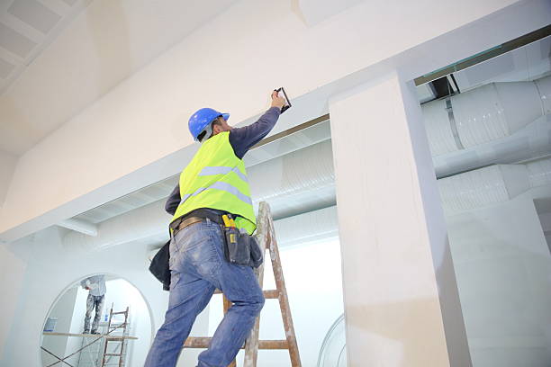 Professional Mold Removal in Lisle, IL