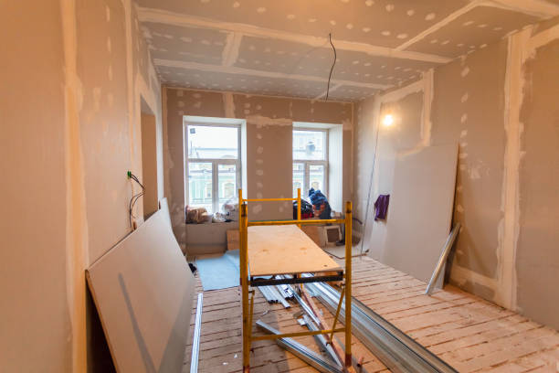 Biohazard Mold Removal in Lisle, IL