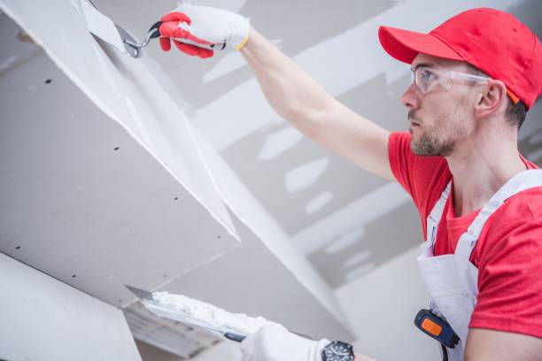Best Crawl Space Mold Remediation  in Lisle, IL